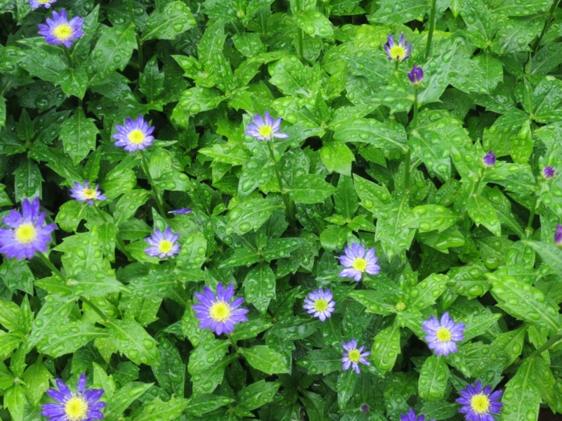 f:id:atarou:20150606062937j:image