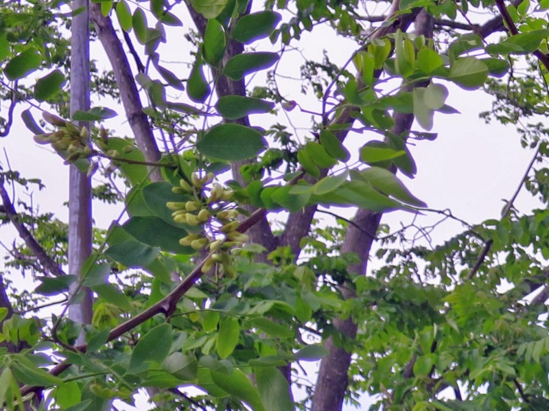 f:id:atarou:20150606064030j:image
