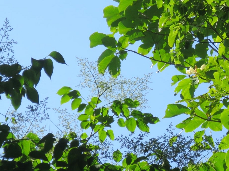 f:id:atarou:20150619065646j:image f:id:atarou:20150619065646j:image