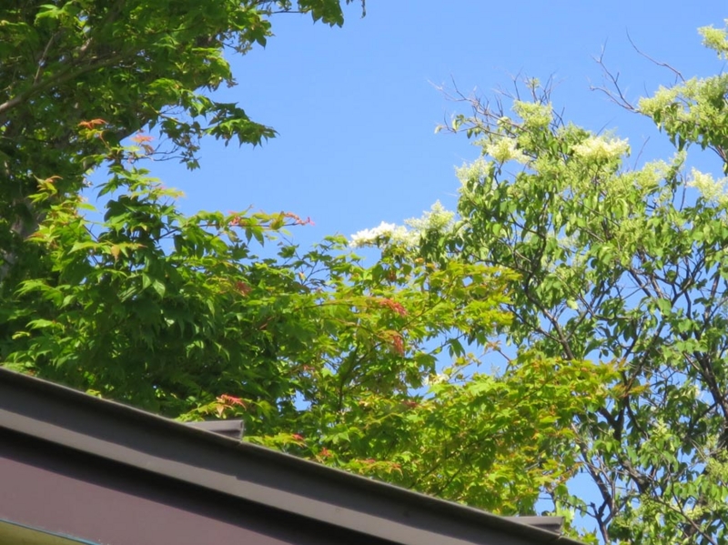 f:id:atarou:20150619070859j:image f:id:atarou:20150619070859j:image