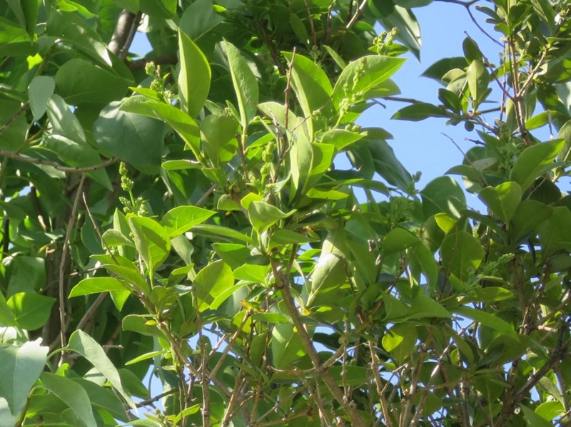 f:id:atarou:20150619070901j:image f:id:atarou:20150619070901j:image