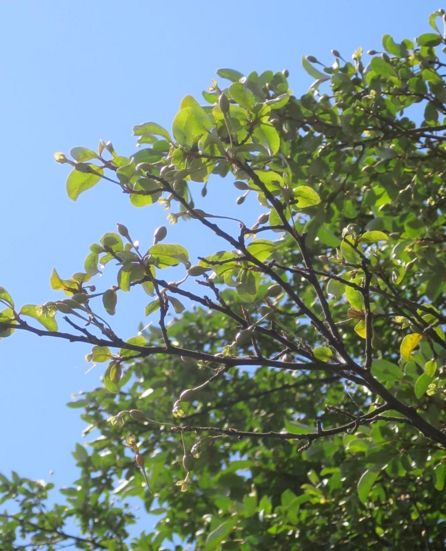 f:id:atarou:20150619171646j:image f:id:atarou:20150619171646j:image