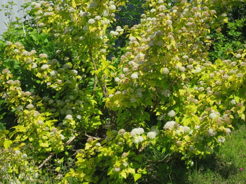 f:id:atarou:20150620063855j:image f:id:atarou:20150620063855j:image