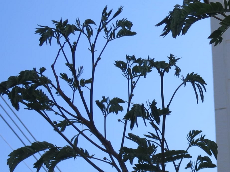 f:id:atarou:20150620064903j:image f:id:atarou:20150620064903j:image