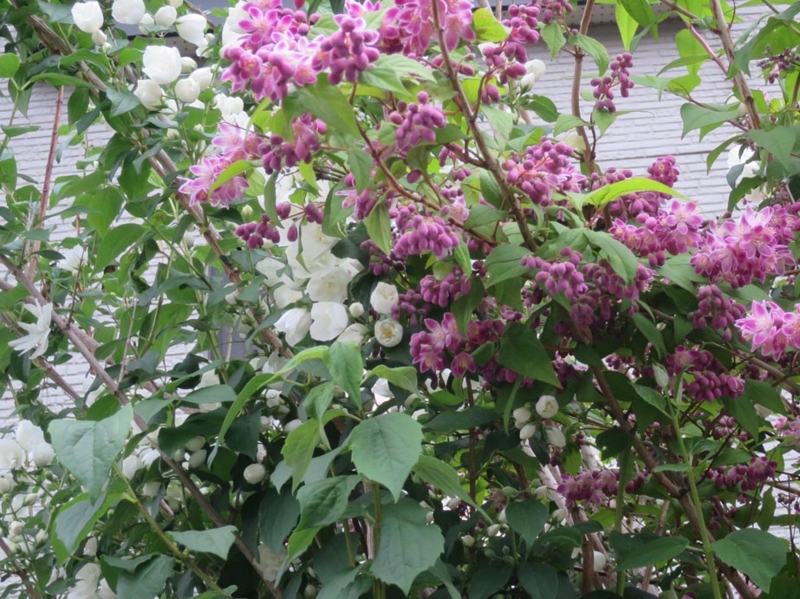 f:id:atarou:20150624064114j:image