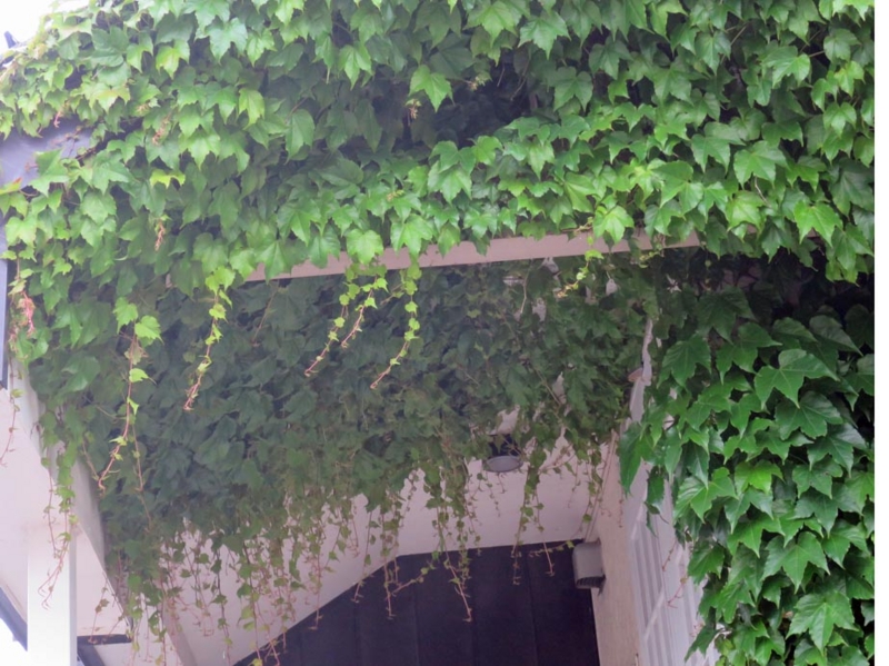 f:id:atarou:20150624064120j:image