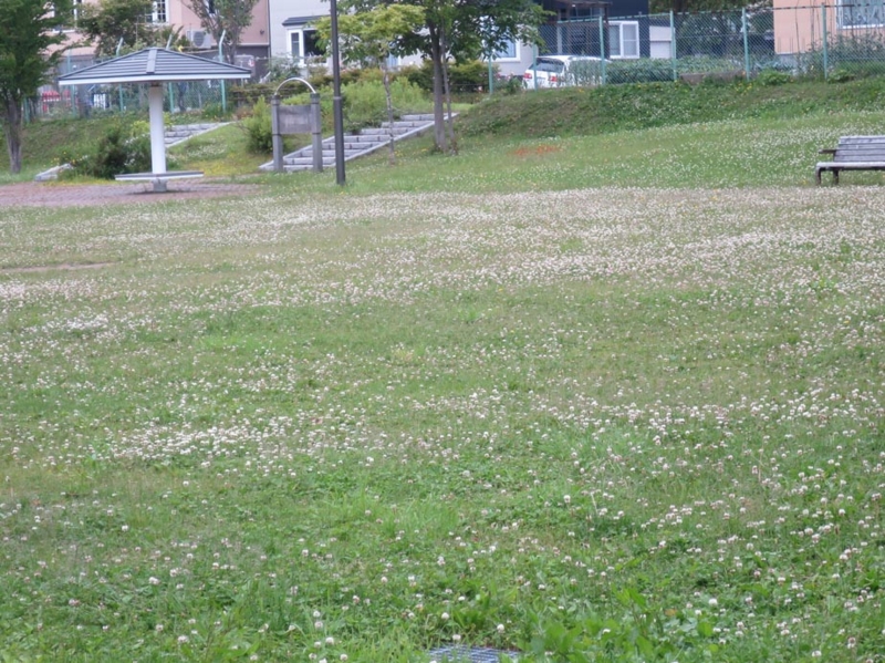f:id:atarou:20150624064957j:image