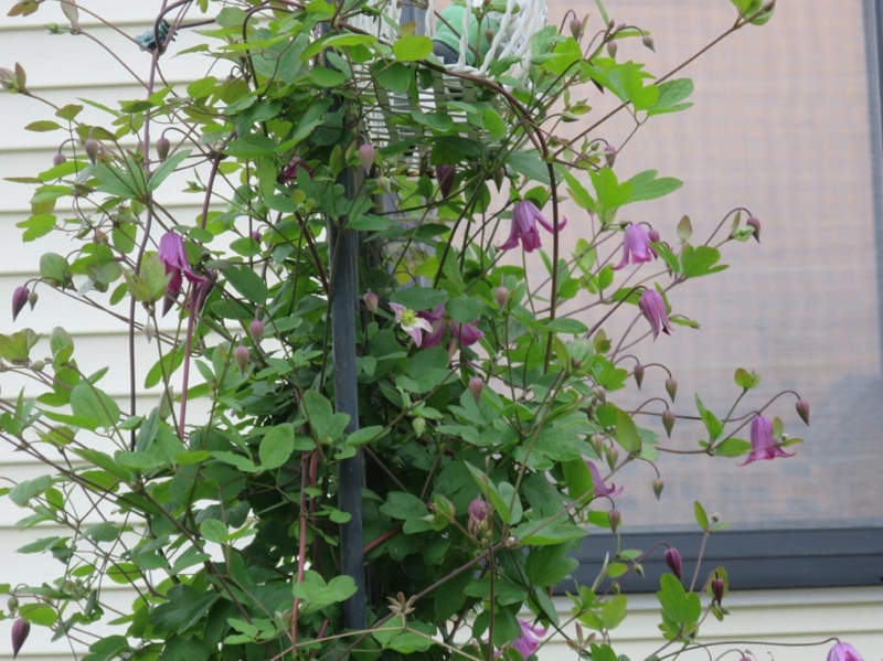 f:id:atarou:20150625082653j:image