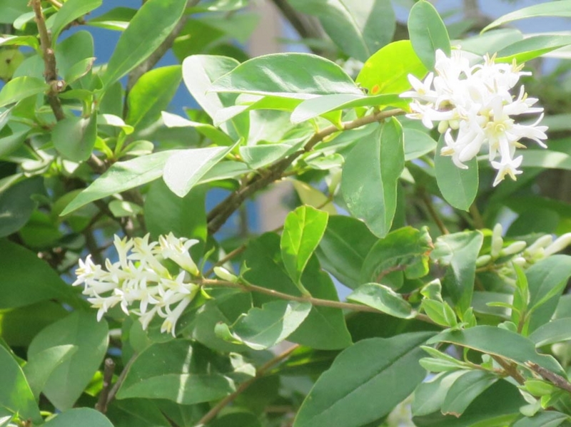 f:id:atarou:20150627064009j:image