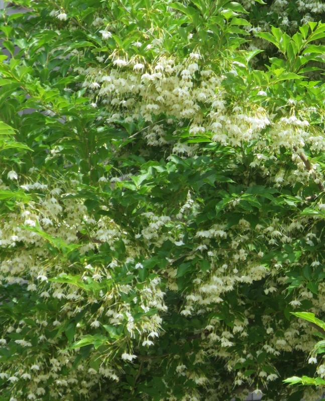 f:id:atarou:20150627064636j:image