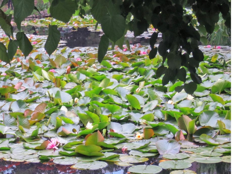 f:id:atarou:20150630060701j:image