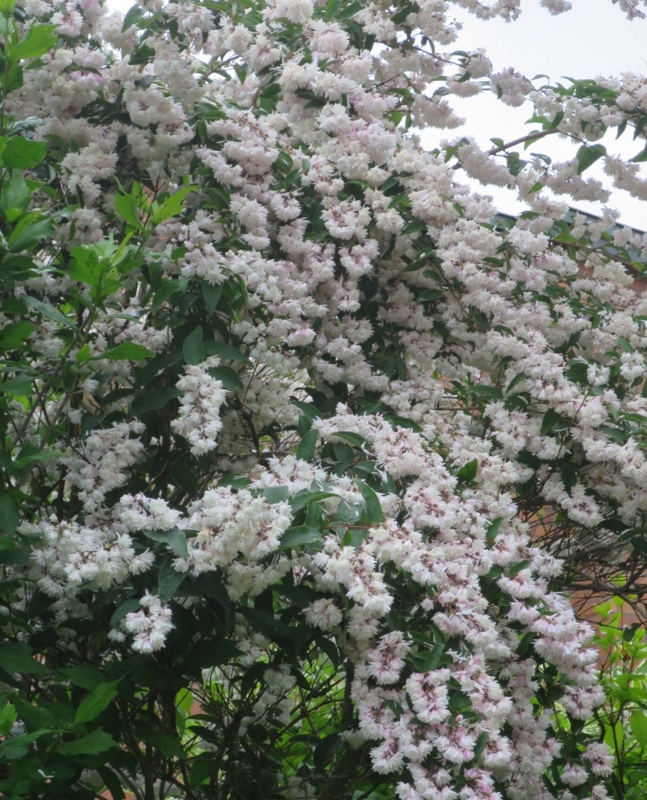 f:id:atarou:20150708071231j:image