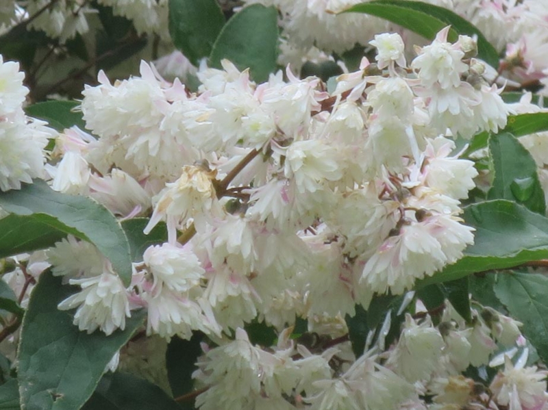 f:id:atarou:20150708071527j:image