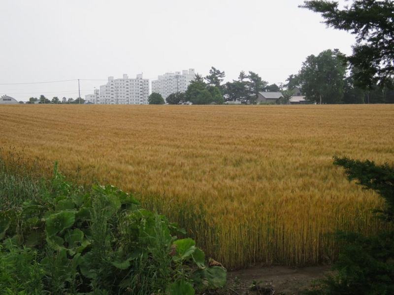 f:id:atarou:20150715070252j:image