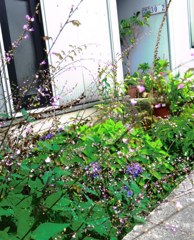 f:id:atarou:20150807083444j:image