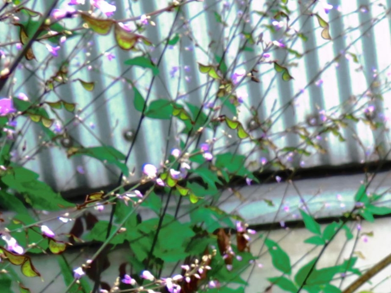 f:id:atarou:20150807091931j:image