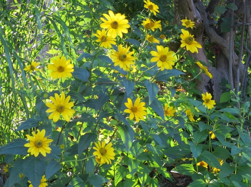 f:id:atarou:20150814082517j:image f:id:atarou:20150814082517j:image