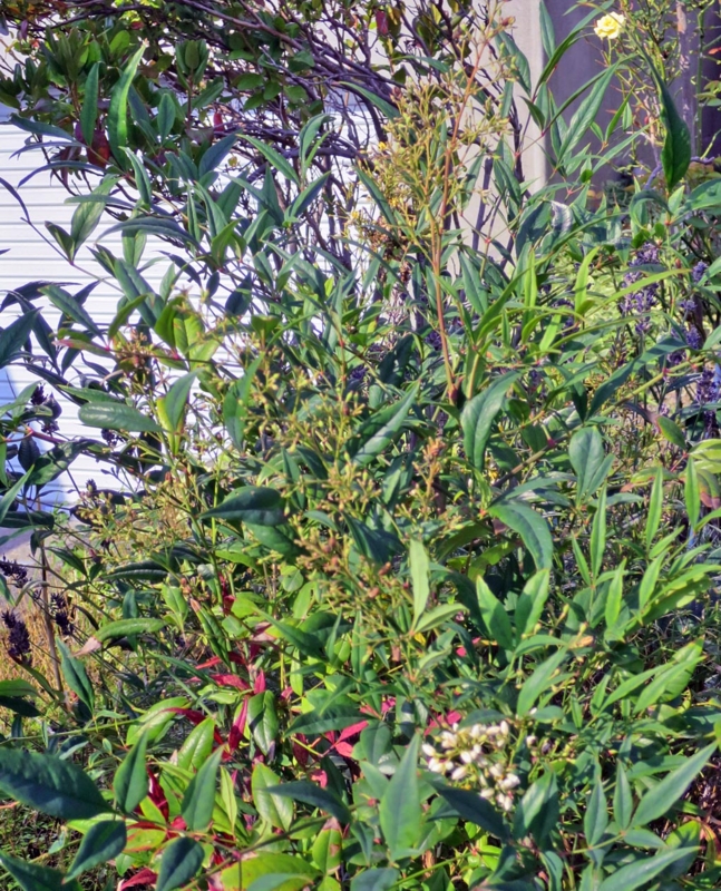 f:id:atarou:20150821065217j:image