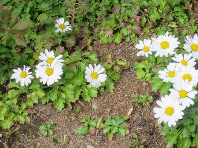 f:id:atarou:20151006071215j:image