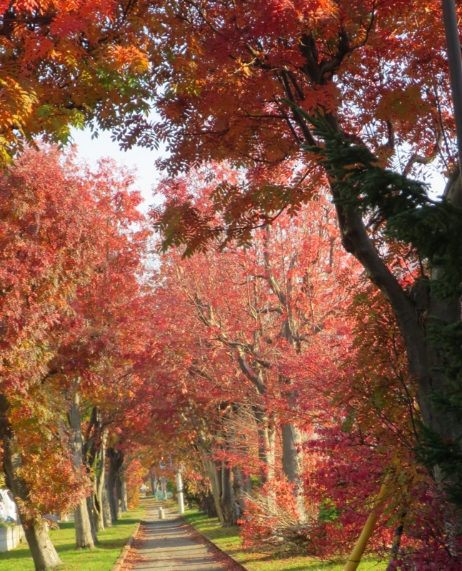f:id:atarou:20151020061436j:image