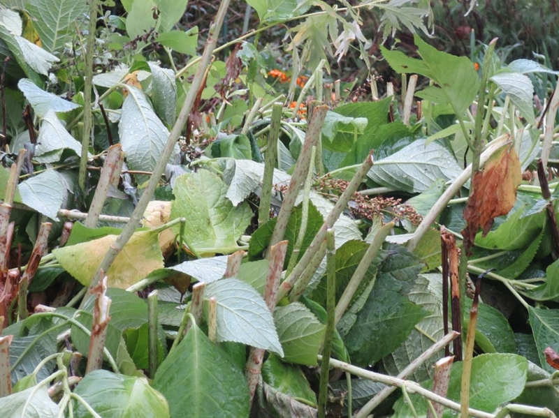 f:id:atarou:20151021063924j:image