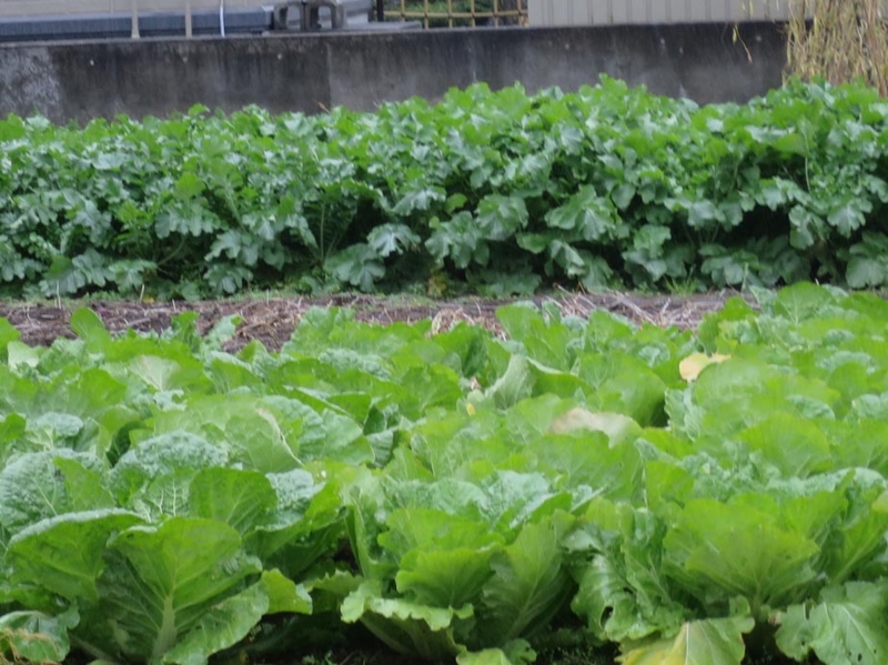 f:id:atarou:20151021063928j:image