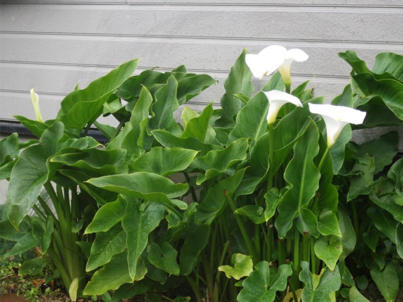 f:id:atarou:20151021064803j:image