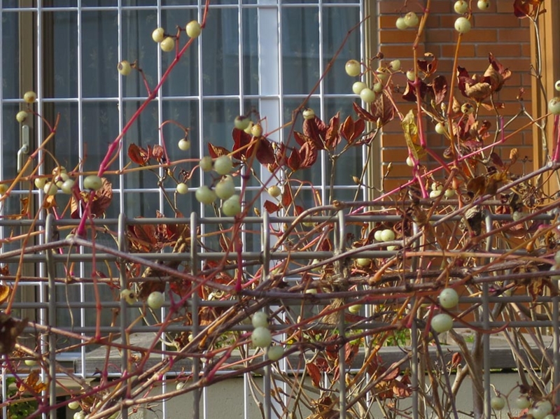 f:id:atarou:20151022063730j:image