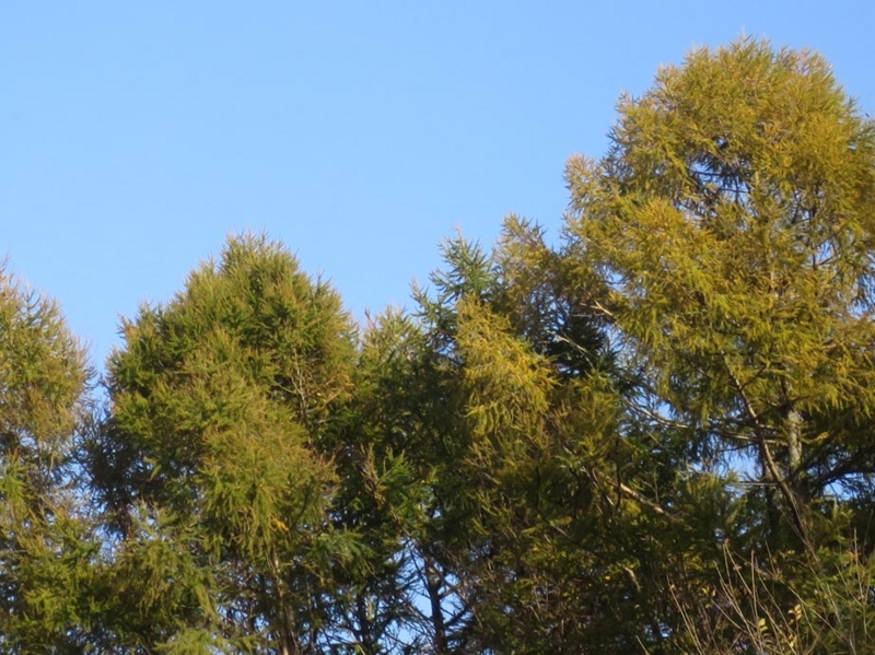 f:id:atarou:20151024063513j:image