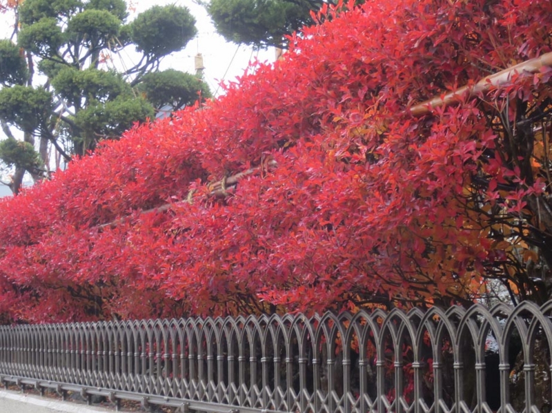 f:id:atarou:20151111064016j:image