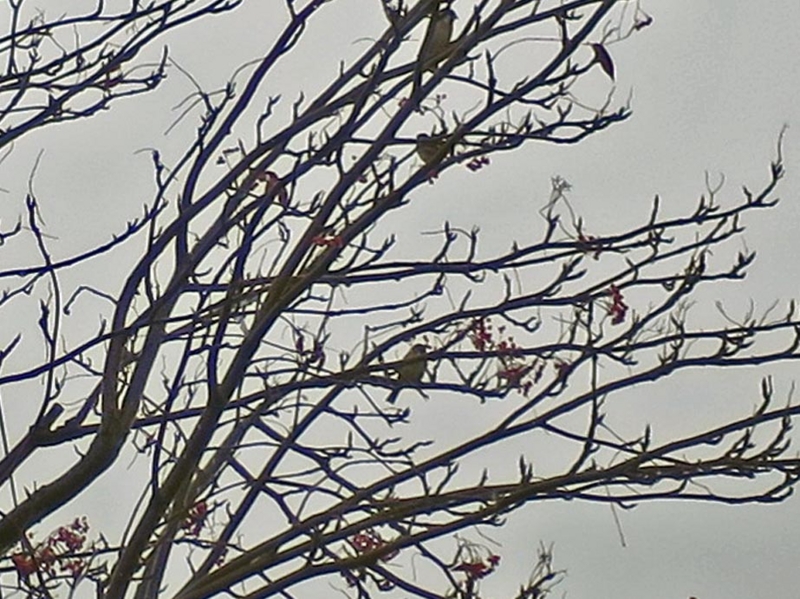 f:id:atarou:20151111064815j:image