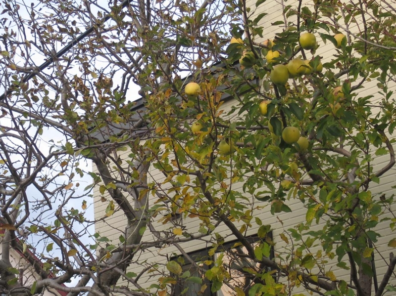 f:id:atarou:20151120065128j:image