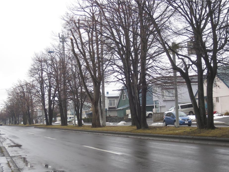 f:id:atarou:20151212065701j:image