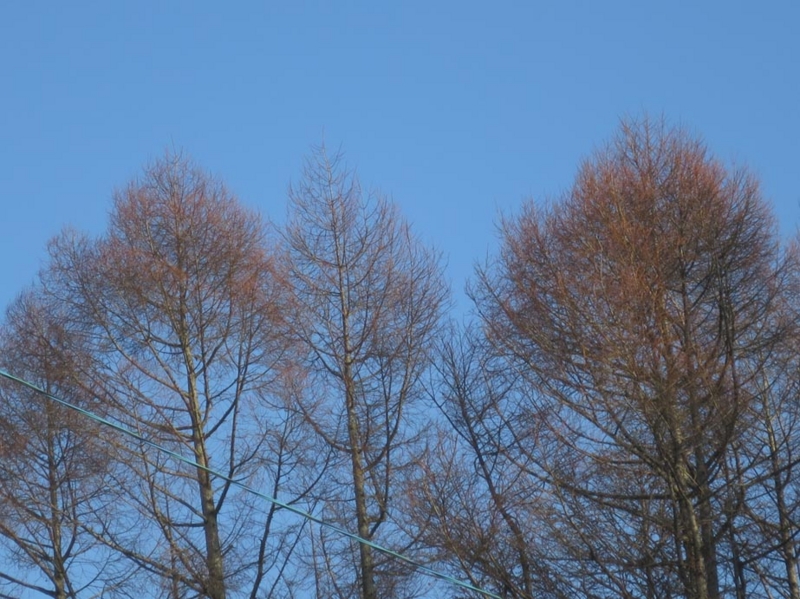 f:id:atarou:20151213070214j:image