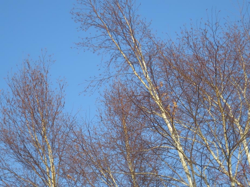 f:id:atarou:20151213070219j:image