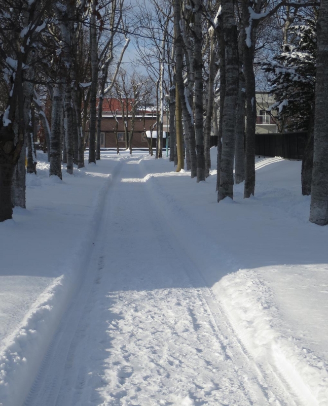 f:id:atarou:20160101092232j:image