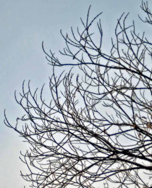 f:id:atarou:20160103070058j:image