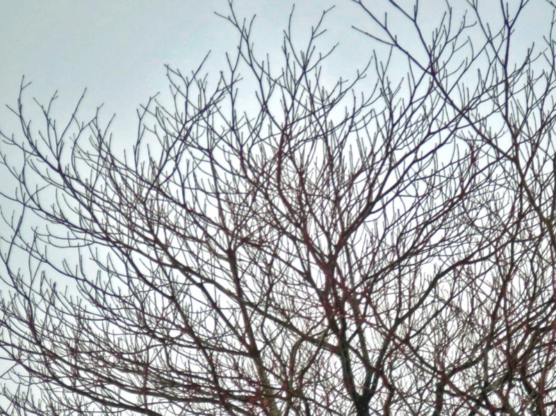 f:id:atarou:20160103070100j:image
