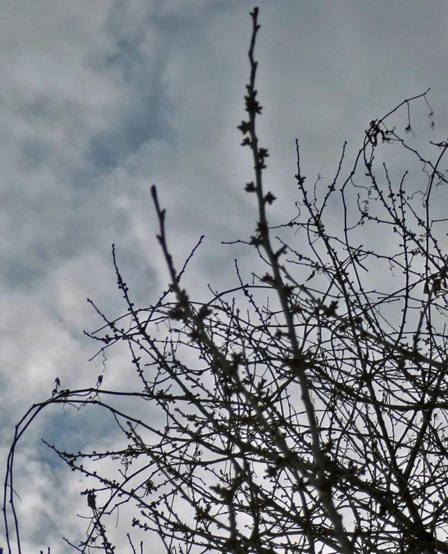 f:id:atarou:20160107090325j:image