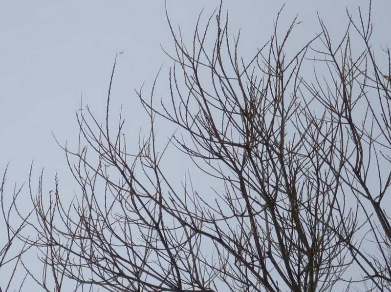 f:id:atarou:20160113071809j:image