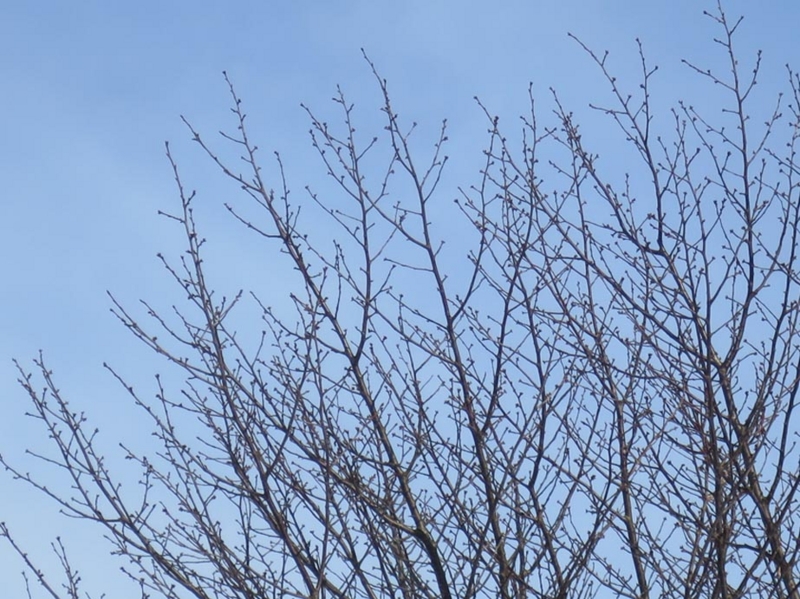 f:id:atarou:20160121064618j:image