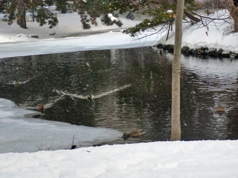 f:id:atarou:20160129084459j:image f:id:atarou:20160129084459j:image