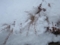 20160210064657
