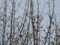 20160228063629