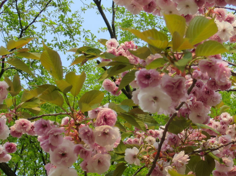 f:id:atarou:20160520065853j:image