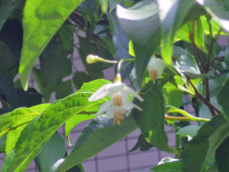 f:id:atarou:20160702065443j:image f:id:atarou:20160702065443j:image