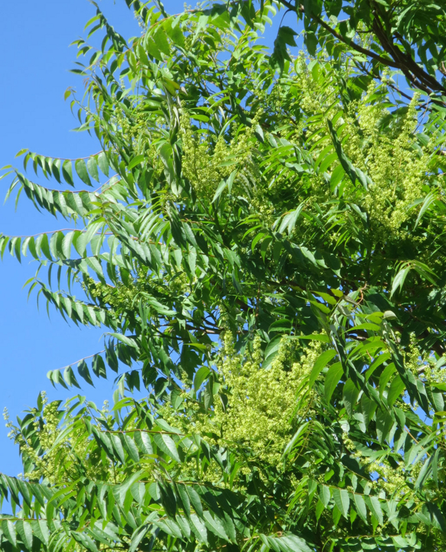 f:id:atarou:20160712070248j:image