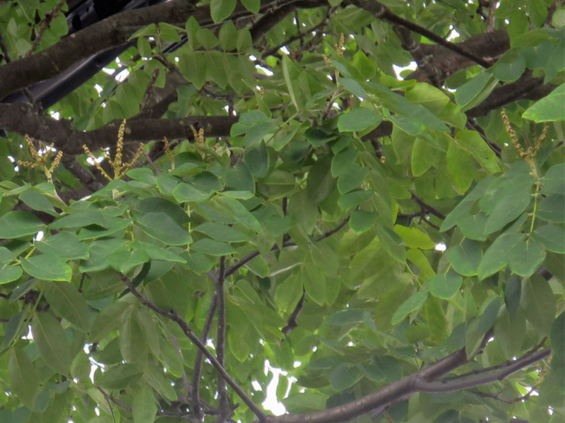 f:id:atarou:20160715180943j:image