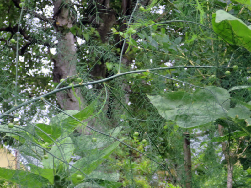 f:id:atarou:20160720070404j:image f:id:atarou:20160720070404j:image