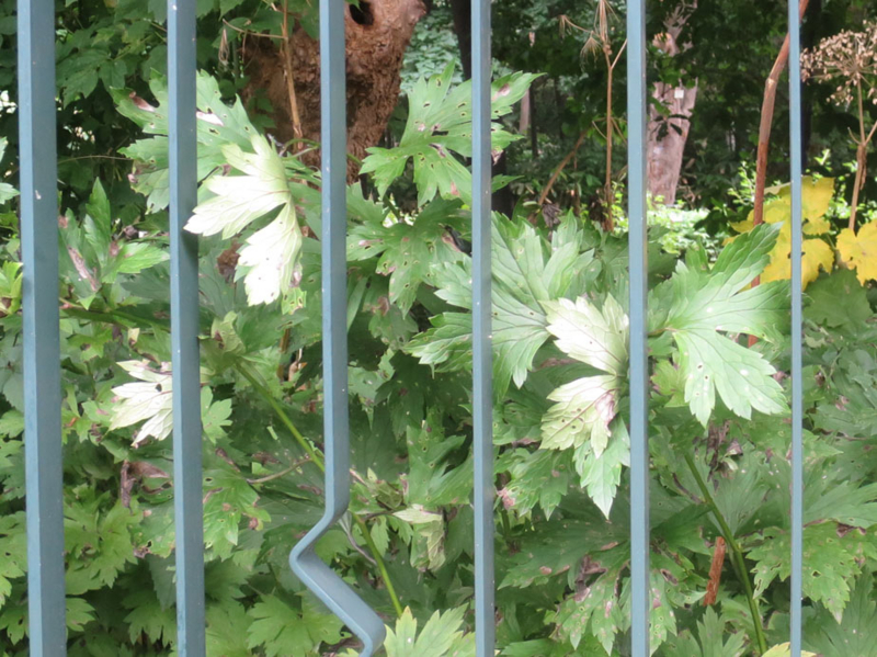 f:id:atarou:20160722070710j:image f:id:atarou:20160722070710j:image